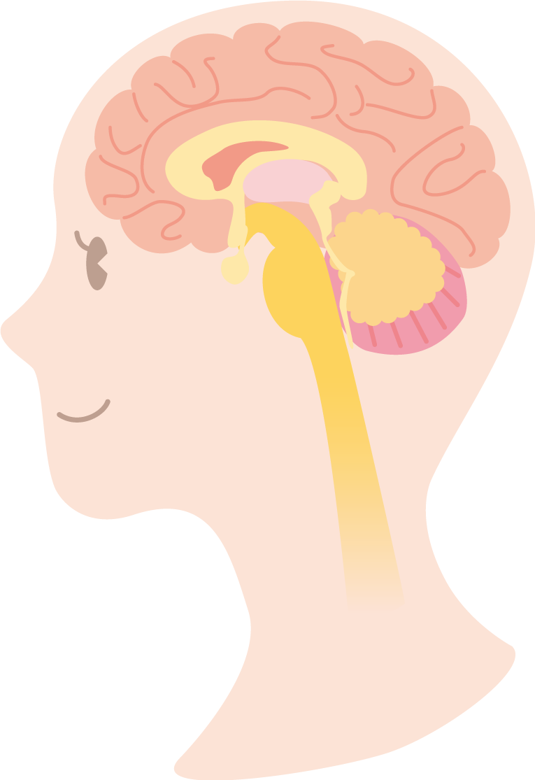 前頭葉の活性化